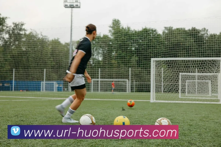 火狐体育平台生态图