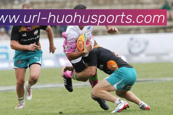 火狐体育APP 封面图